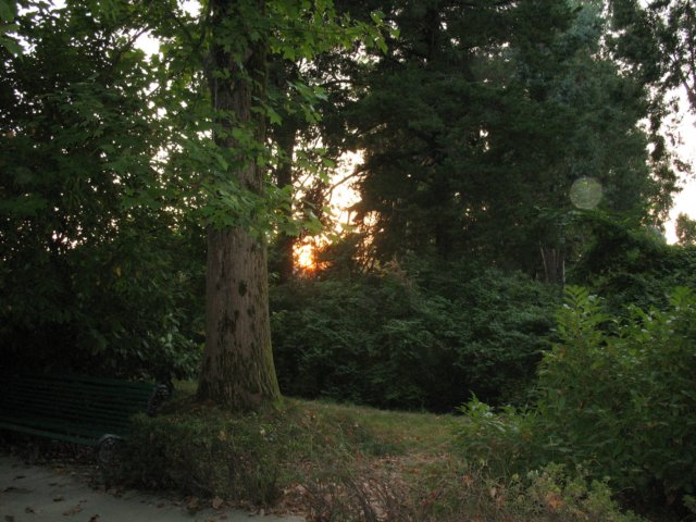photo22.jpg