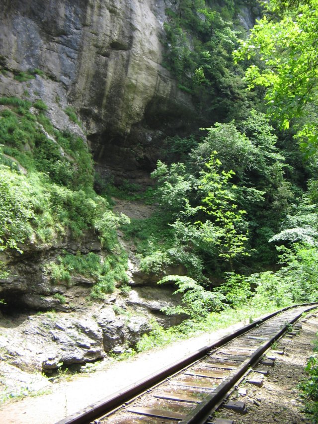 photo21.jpg