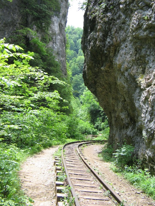 photo22.jpg