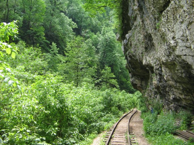 photo23.jpg