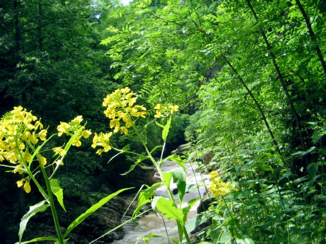 photo24.jpg