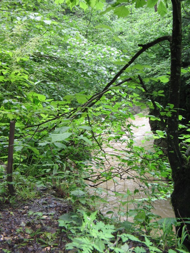 photo25.jpg