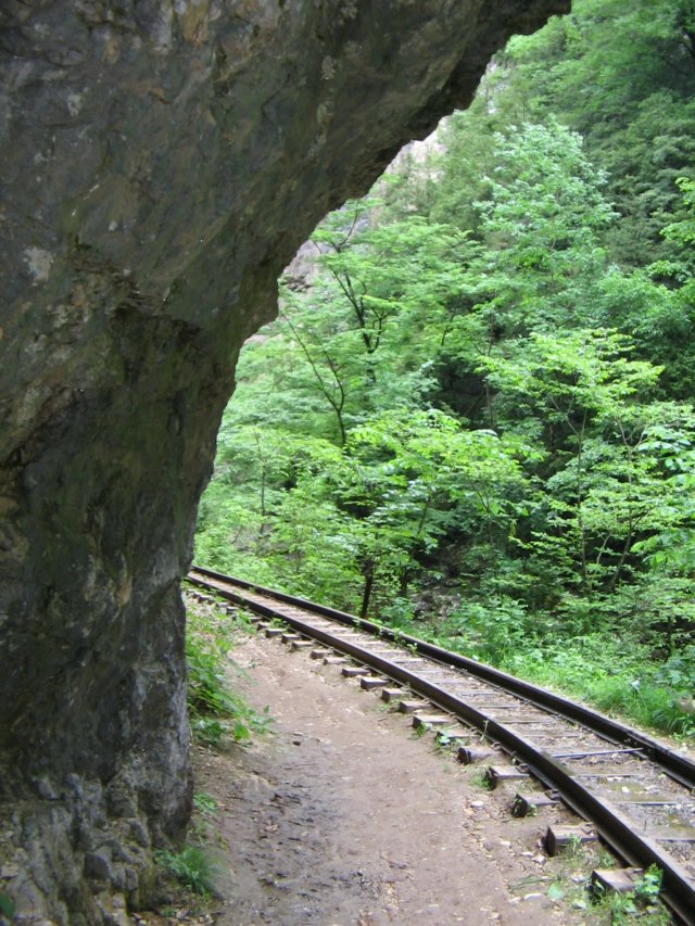 photo26.jpg
