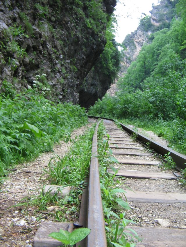 photo30.jpg