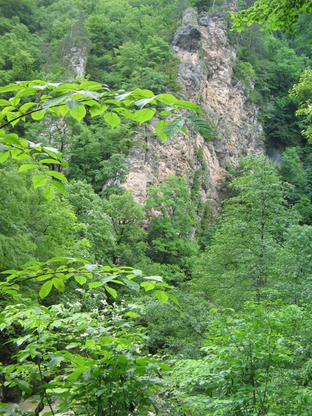 photo31.jpg